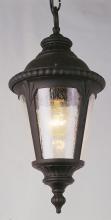 Trans Globe 5049 BK - 1LT SMALL HANGING OUTDOOR